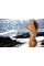 Ефектний купальник із декором із сітки Lesley 478 Marko